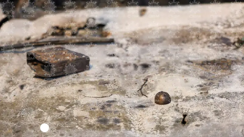 afectaciones Tapalpa